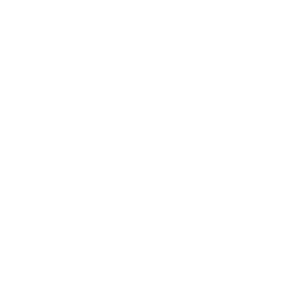 Welsh Fire logo